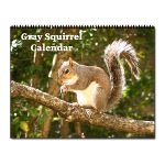 Picture link to squirrel and bird wall callendars