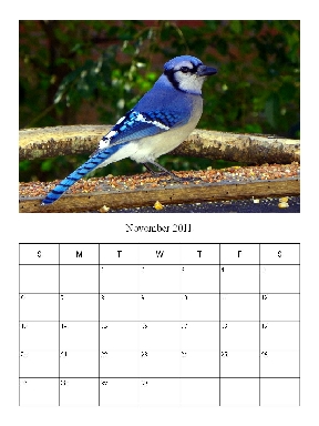 Link to PDF November 2011 calendar page